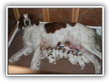 glory litter day 0 (1)