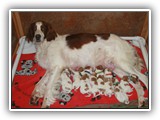 glory litter day 1 (1)