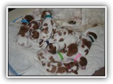 11 Days Old