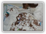 11 Days Old