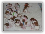 12 Days Old