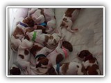 12 Days Old