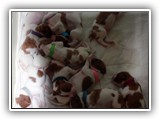 12 Days Old