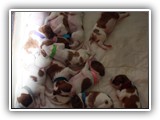 12 Days Old