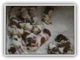 12 Days Old