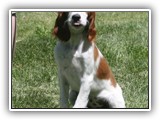 innis (73)