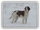 innis 2-26-2011