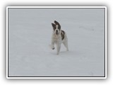 innis 2-26-2011 (3)