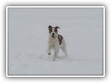 innis 2-26-2011 (4)