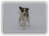 innis 2-26-2011 (5)