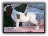 karma diamond 09-10-2016 (18)