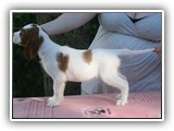 karma diamond 09-10-2016 (19)