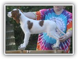 karma litter 10-1-2016 diamond girl (1)