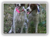 kayleigh & arin 9-24-12 (3)