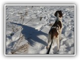 kayleigh 1-9-2013 (3)