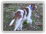 kayleigh 9-24-12 (3)