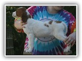 shine litter 10-1-2016 girl (1)