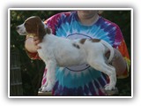 shine litter 10-1-2016 girl (2)