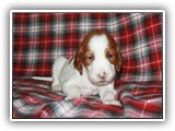 sparkle 8-20-2016 (43)
