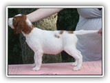 sparkle girl 09-10-2016 (15)