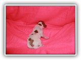 Sparkle Girl 7-26-2016 (5)