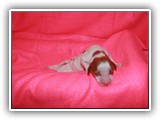 Sparkle Girl 7-26-2016 (8)
