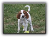 vinny (46)