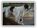 wish 6-6-2013 Eoghan & Stripes (2)