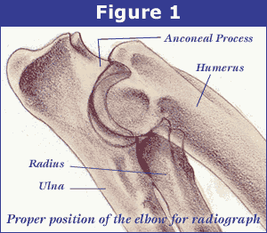 http://offa.org/images/edfig1.gif