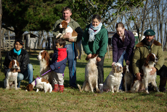 Argentina Trip to Rossmore Irish Red and White Setters