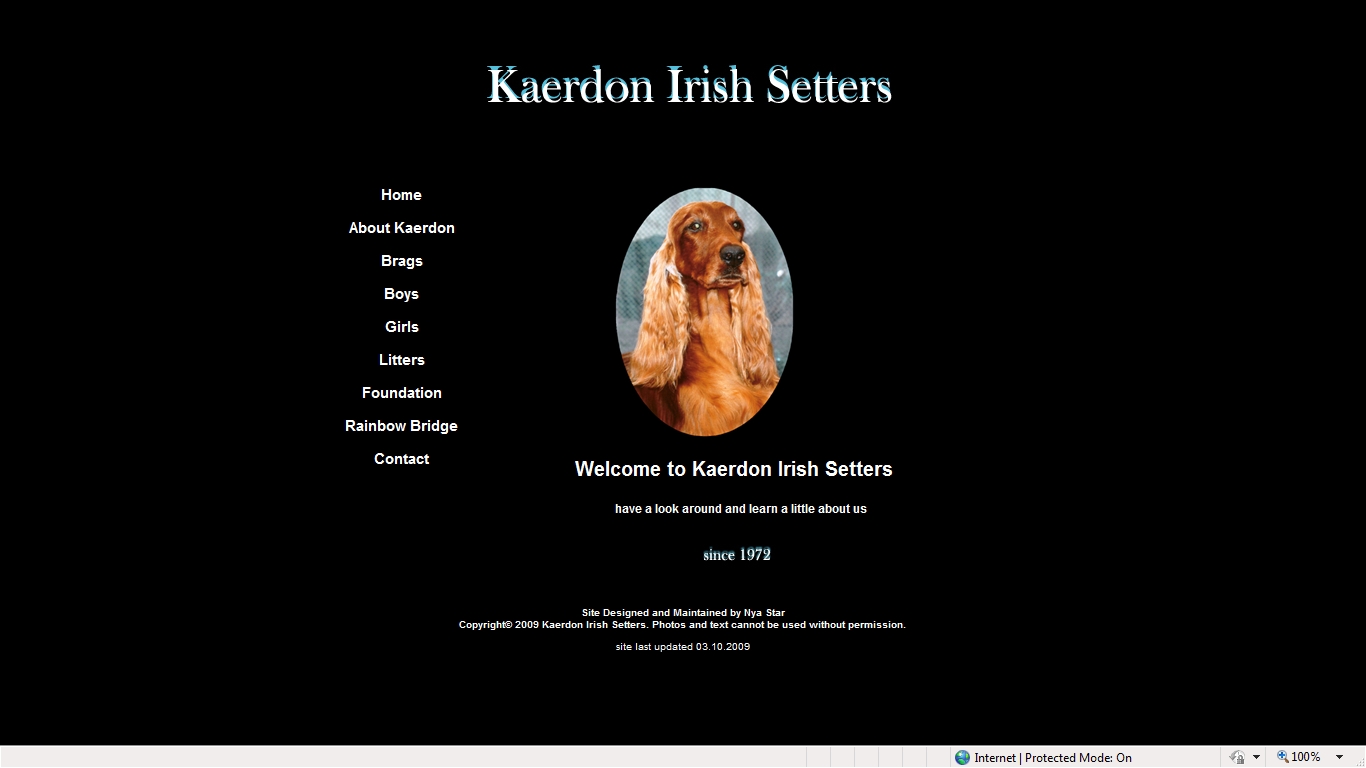 Kaerdon Irish Setters
