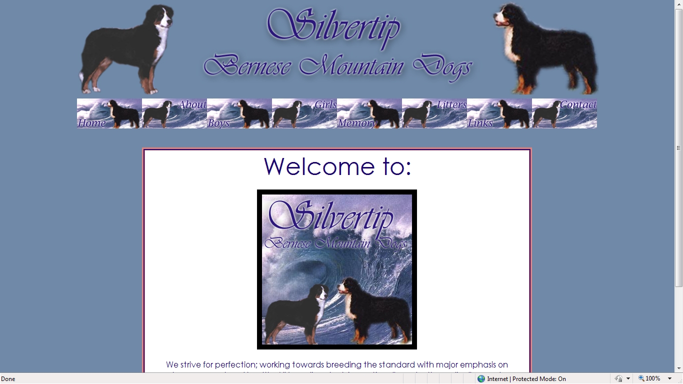 Silvertip Bernese Mountain Dogs