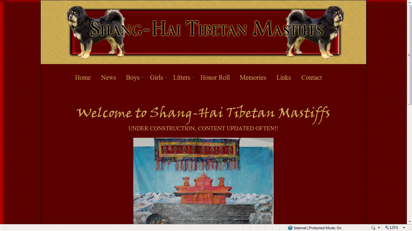 Shang-Hai Tibetan Mastiffs